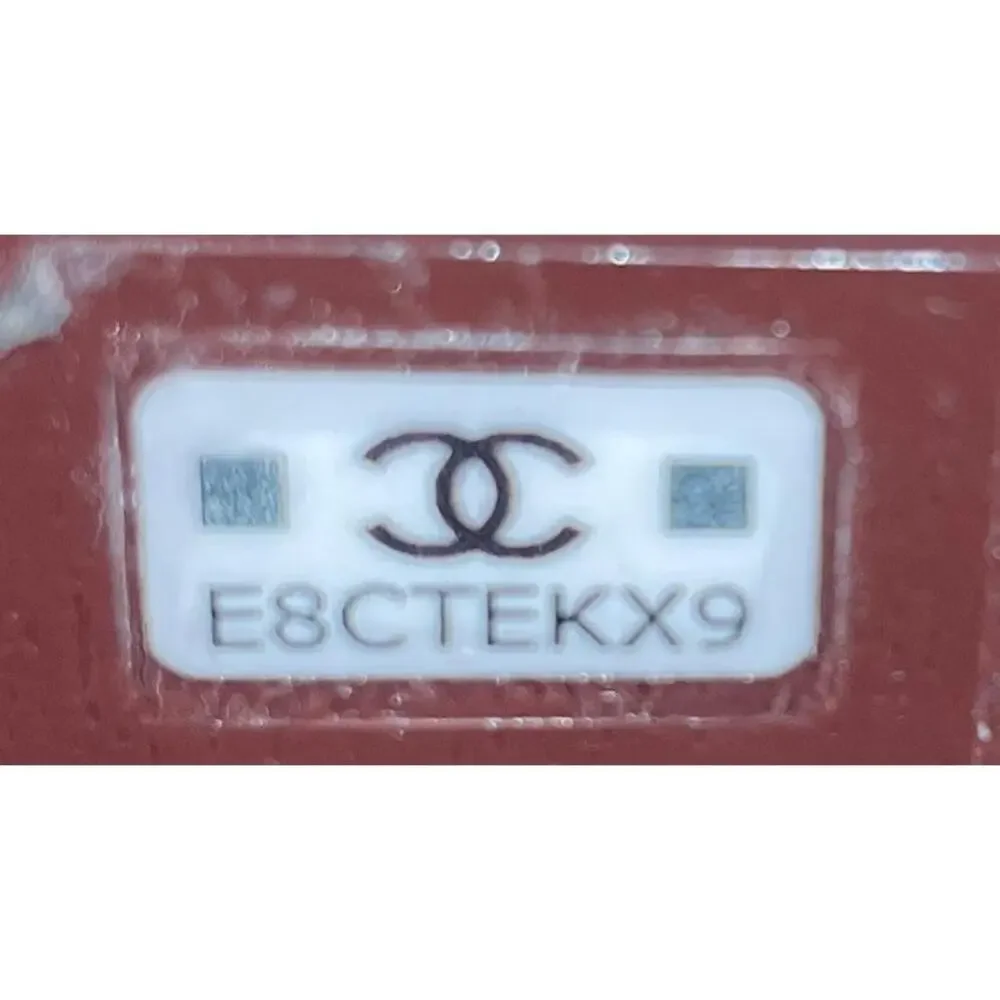 Chanel Classic Vanity Case With Chain #254486C41B